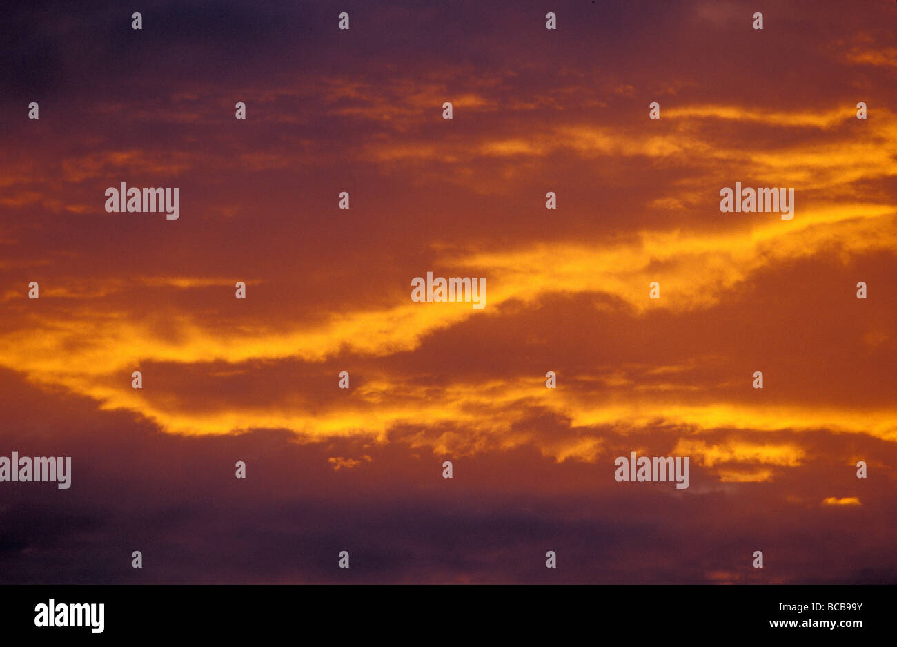Gold orange yellow hi-res stock photography and images - Alamy