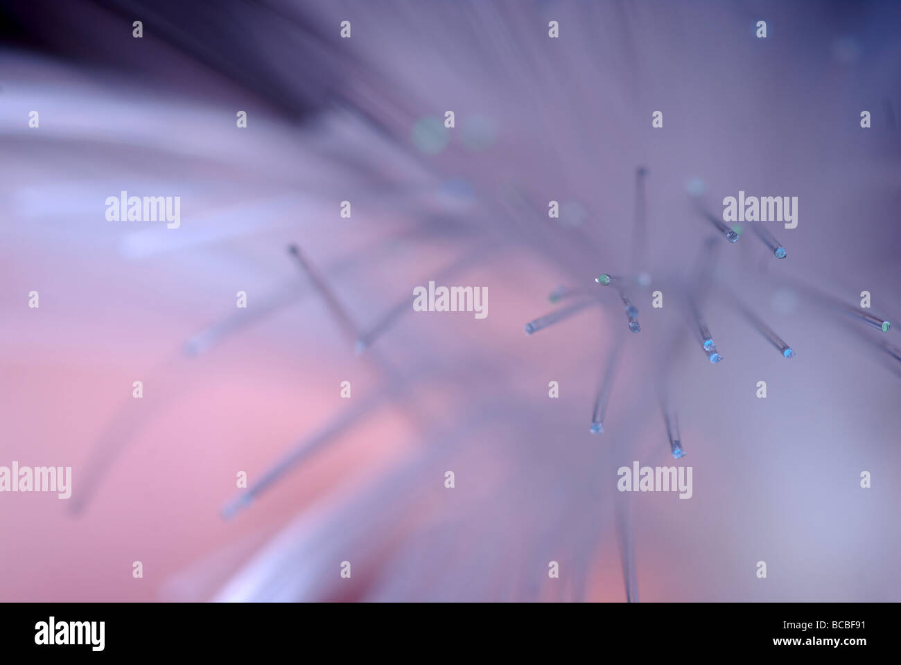 close up macro shot of fibre optic cable against a dark background Stock Photo