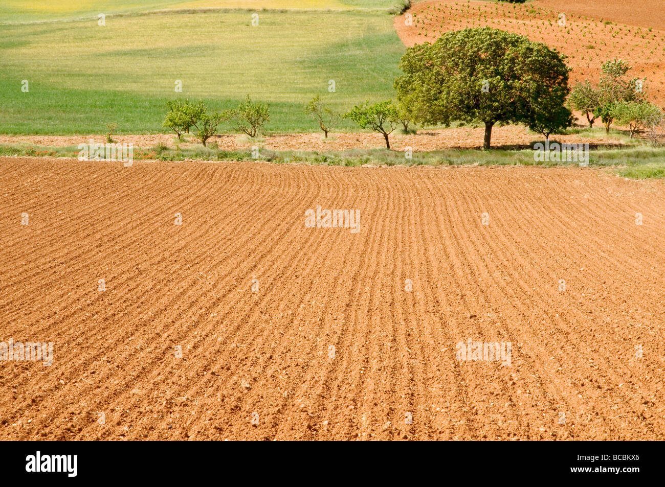 Arado de la agricultura de campo hi-res stock photography and images ...
