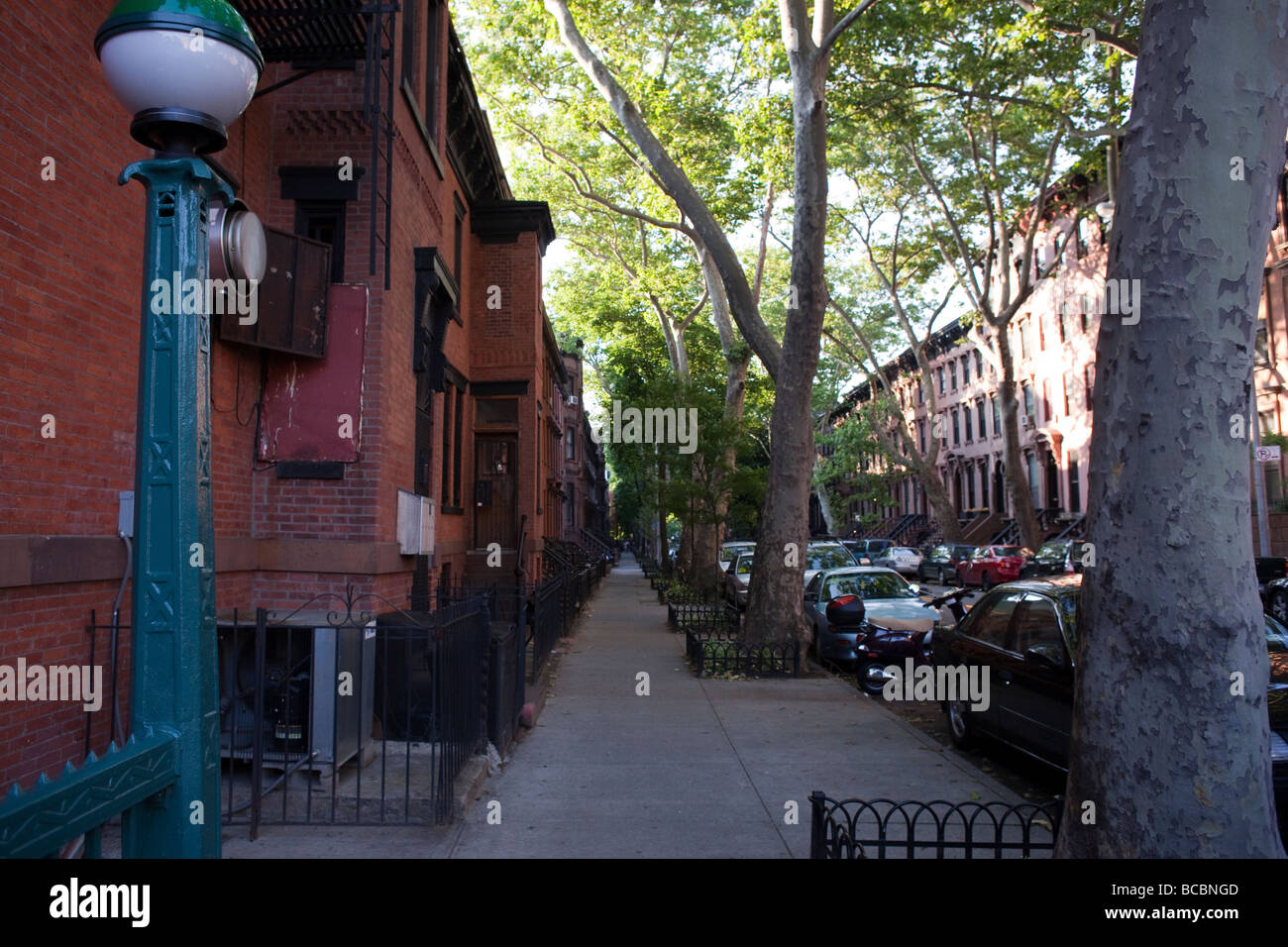 Street in Brooklyn, New York Stock Photo