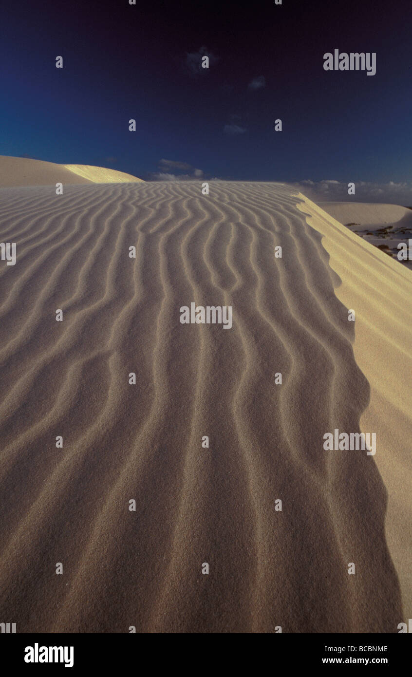 Sand Wind Ripples Wind blown sand ripples across a golden sand dune crest at sunset Stock ...