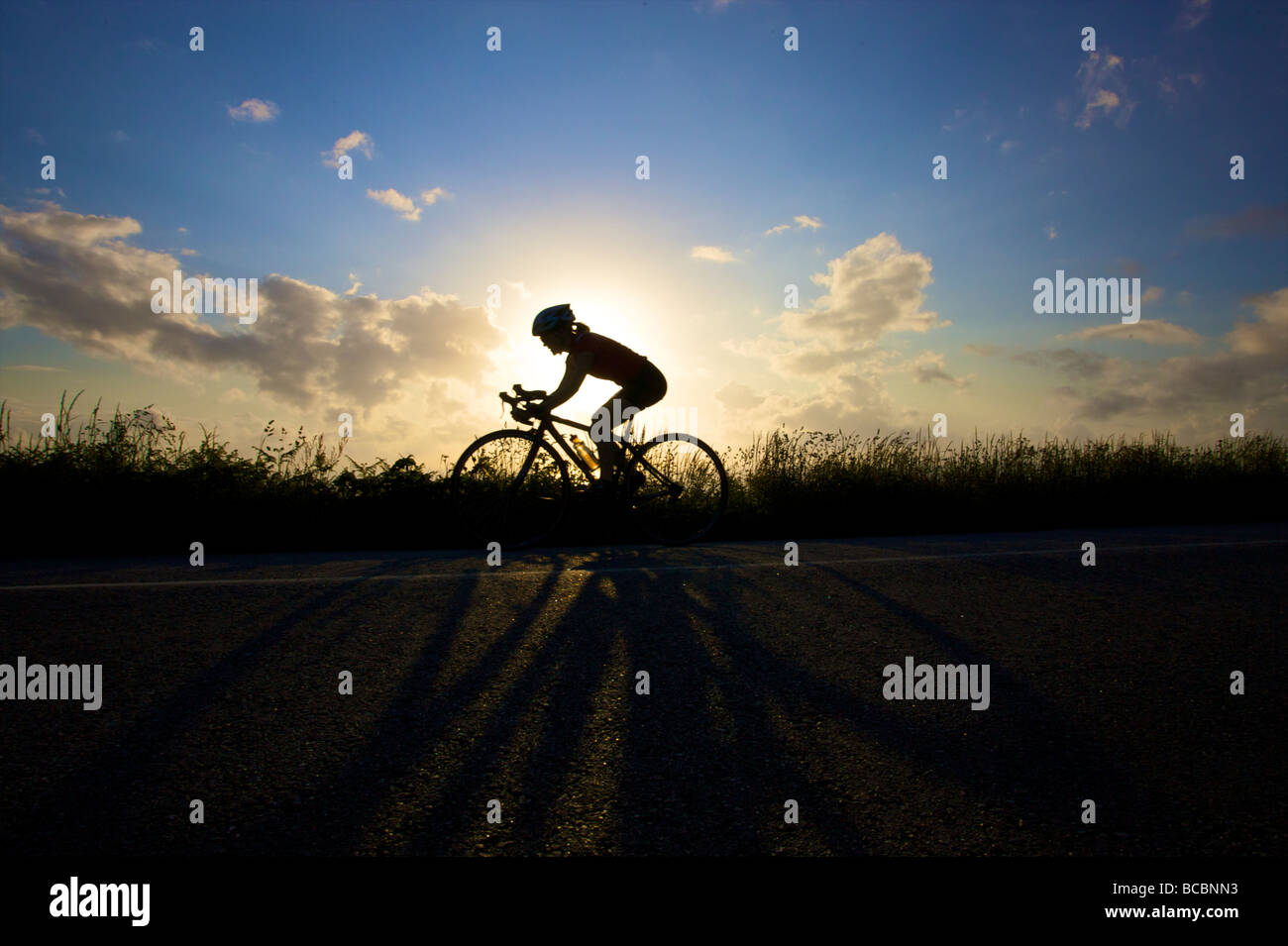 A female road cyclist on the Cornwall coastal road Stock Photo