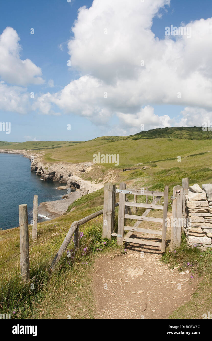 View of Dancing Ledge on the South West Coast Path in the Isle of Purbeck, Dorset, UK Stock Photo