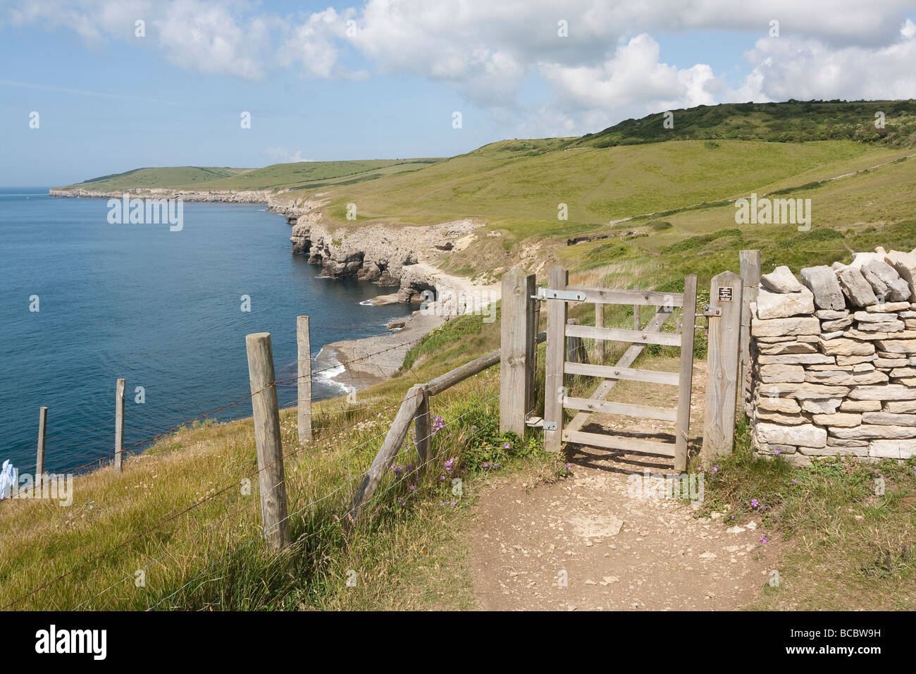 South West Coast Path above Dancing Ledge on the Isle of Purbeck, Dorset, UK Stock Photo