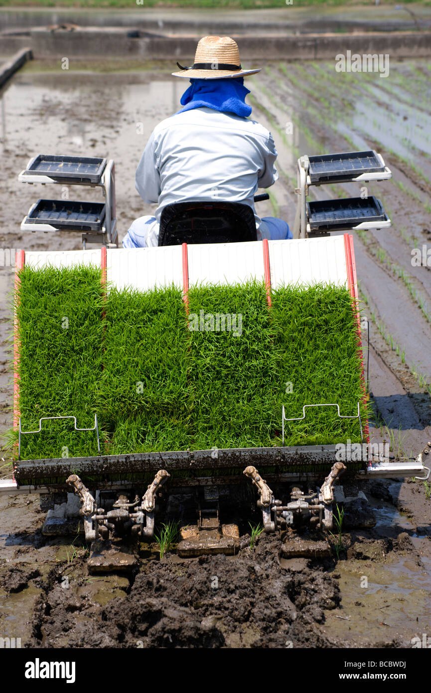 A farmer plants rice using a tractor Takamatsu Shikoku, Japan Stock ...