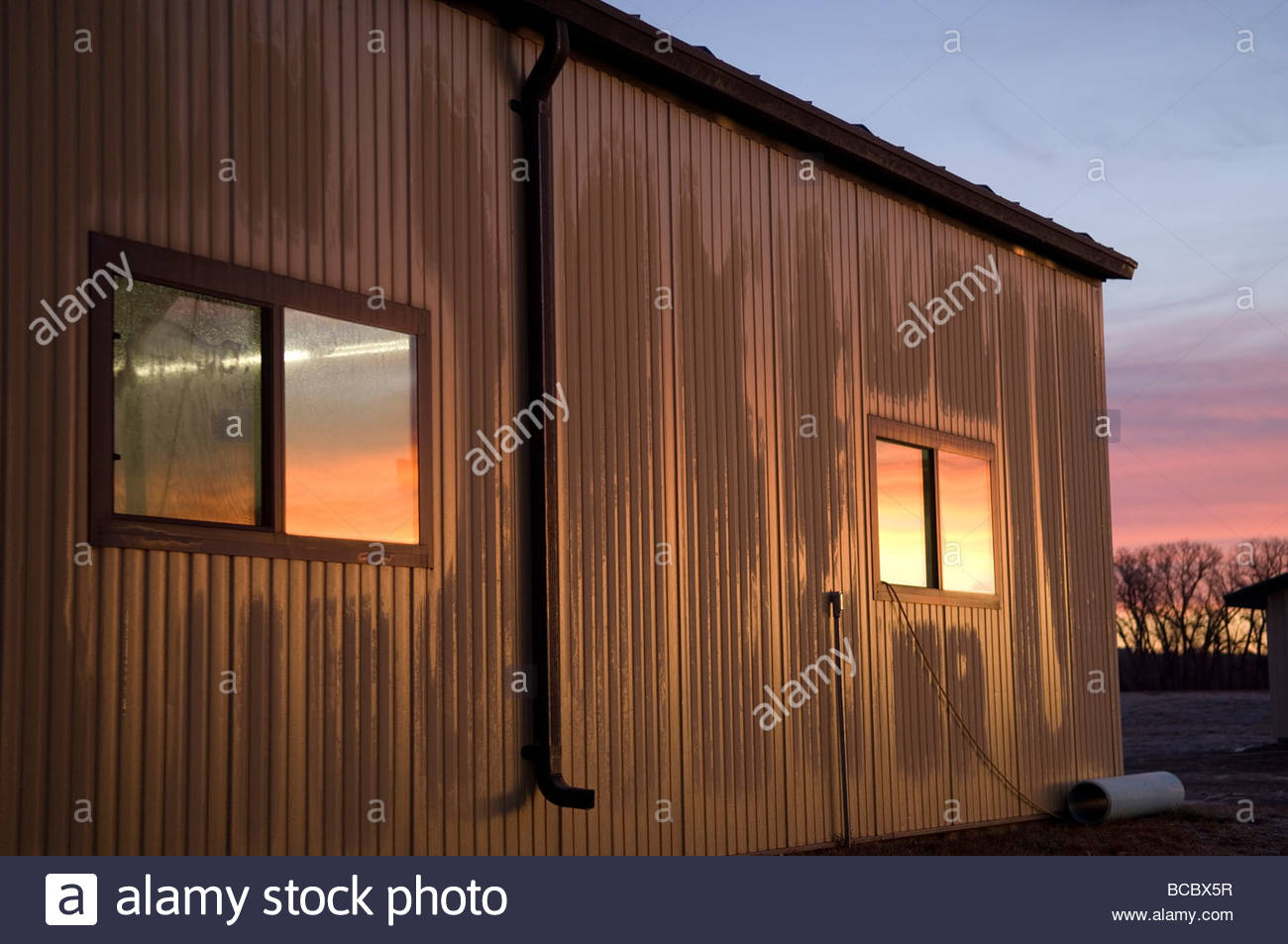 Gavins Stock Photos Gavins Stock Images Alamy
