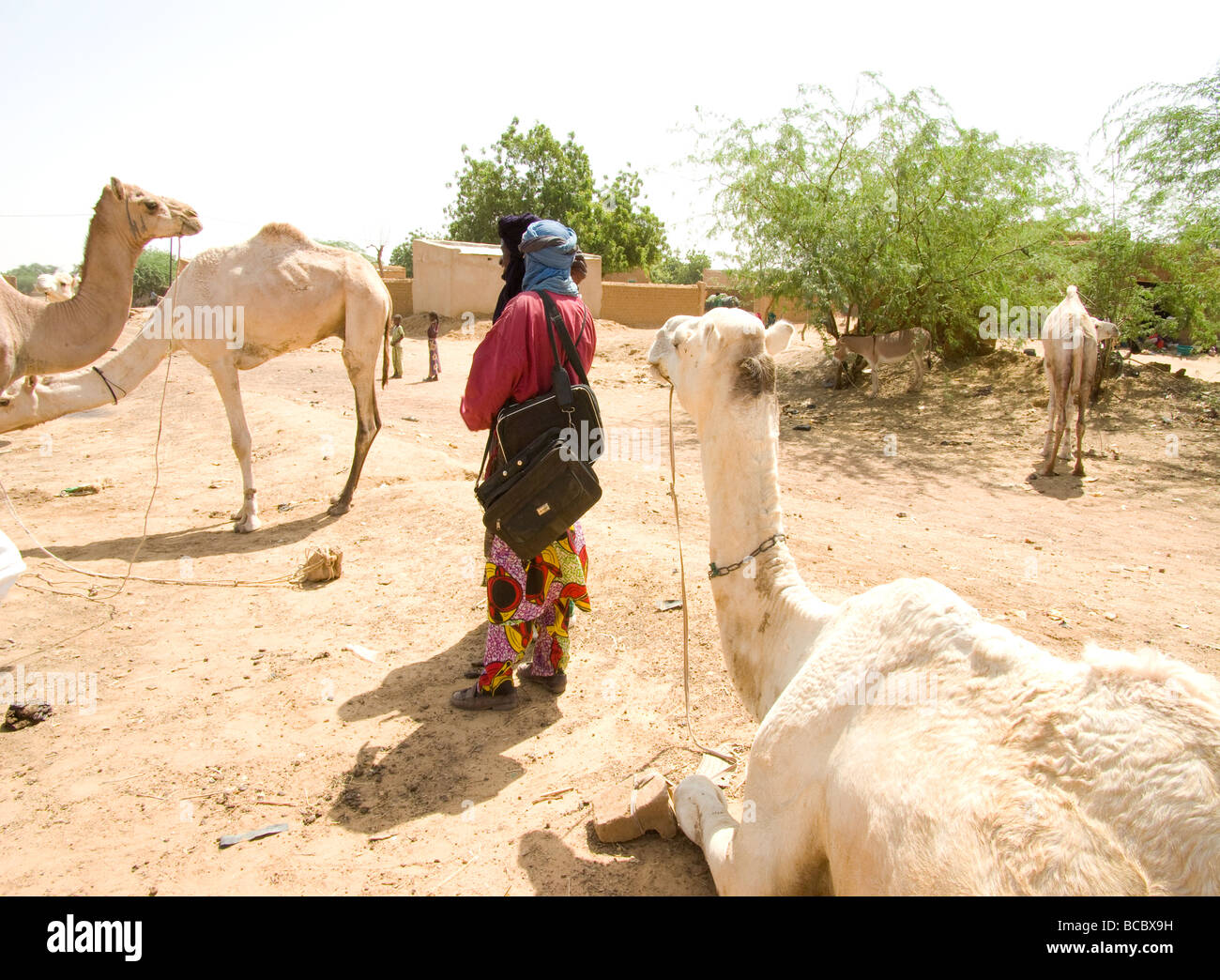 Burkina Faso. Sahel. Touaregs in Gorom-Gorom. Stock Photo