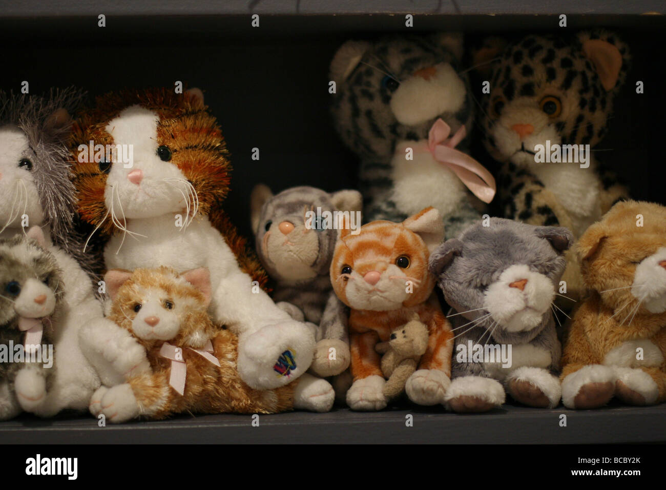 A bunch of stuffed cat toys on a shelf. Stock Photo