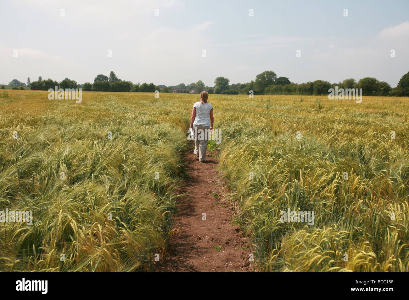 Walking at field hi-res stock photography and images - Alamy