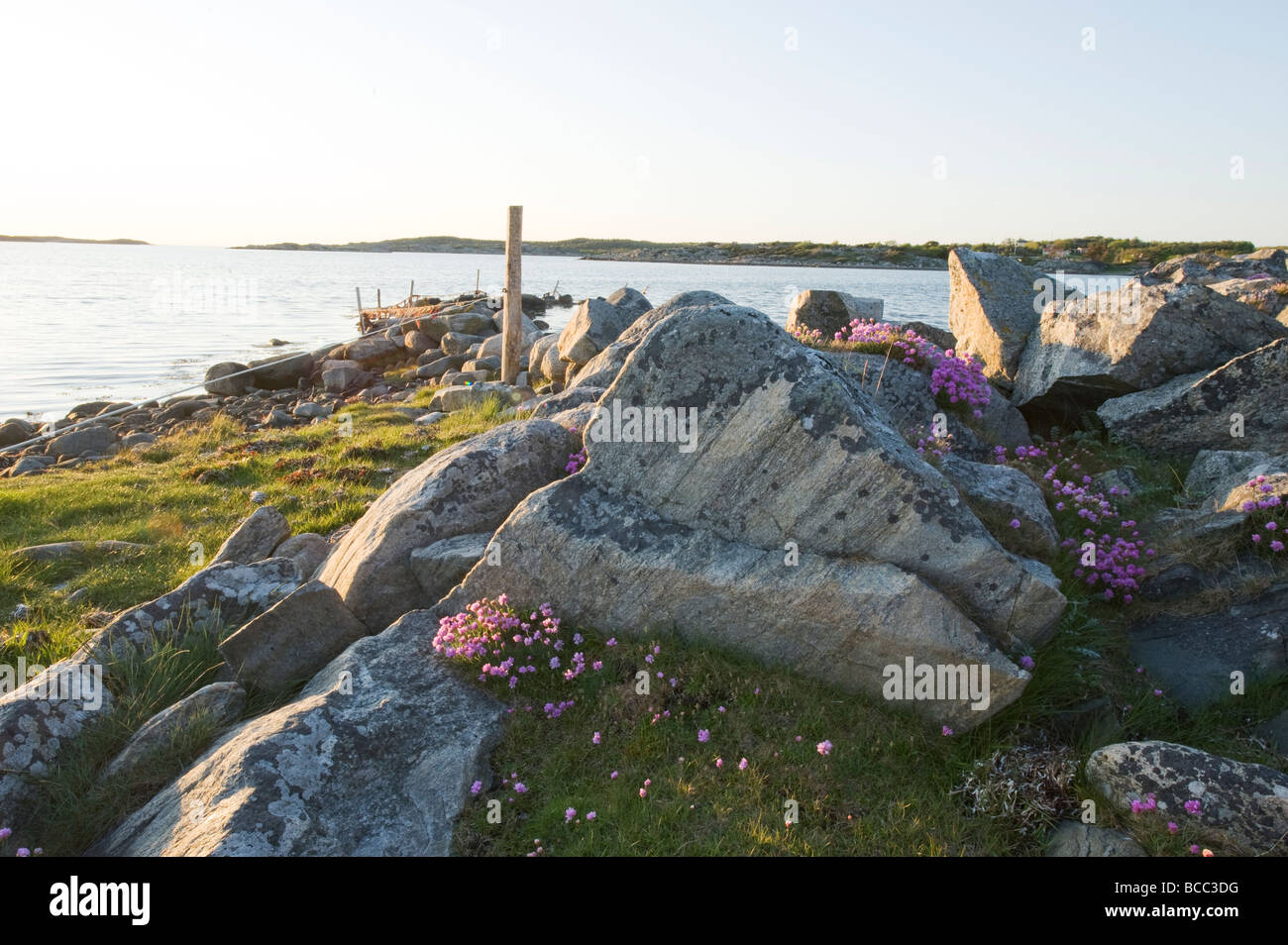 Swedish summer landscape, Sweden Stock Photo