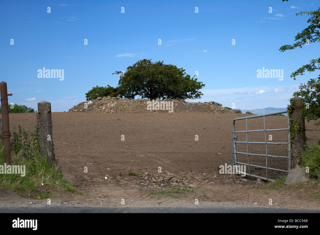 fairy tree in the middle of a ploughed field in county derry ireland Stock Photo