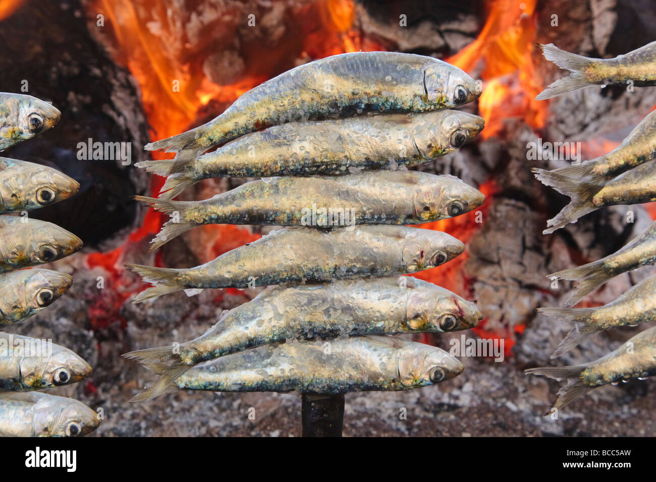Spain Skewers or espetos of sardines barbecueing on open fire Stock Photo