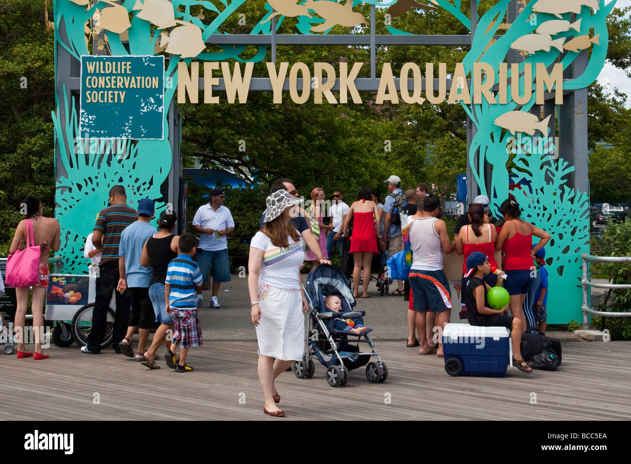 Coney Island New York Aquarium Hi res Stock Photography And Images Alamy coney-island-new-york-aquarium-hi-res-stock-photography-and-images-alamy