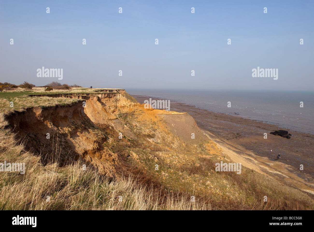 Cliffs exposed to coastal erosion Stock Photo - Alamy
