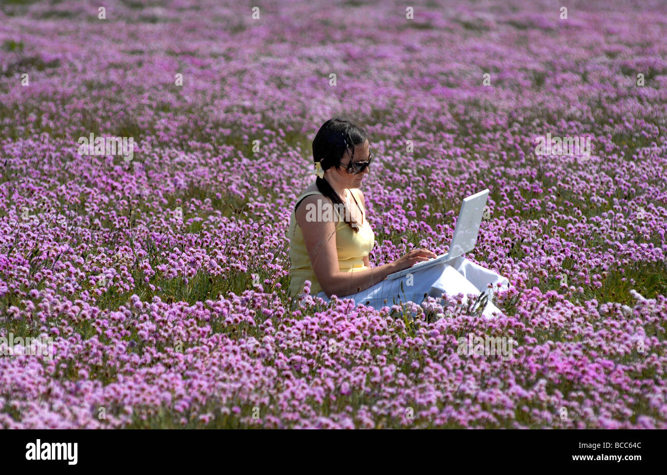 Girl working on her laptop computer in a field of 'sea pink' Stock Photo