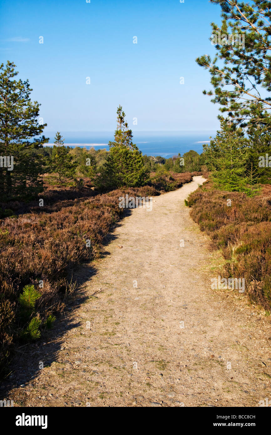 Footpath at Forest walks on Tain Hill, Sutherland, Scotland overlooking the Dornoch Firth on a sunny evening Stock Photo
