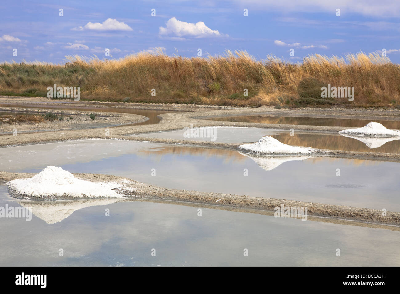 French Sea Salt in Guerande salt marshes, Britanny near Le Croisic / SaintNazaire / Nantes