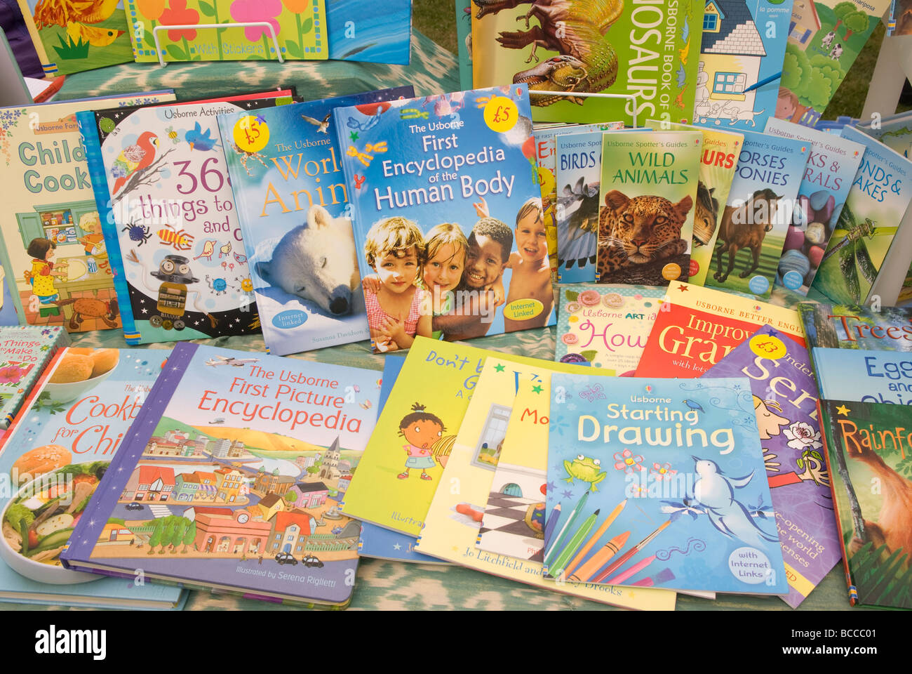 Children's books on display at Liphook Carnival, Hampshire UK. Stock Photo