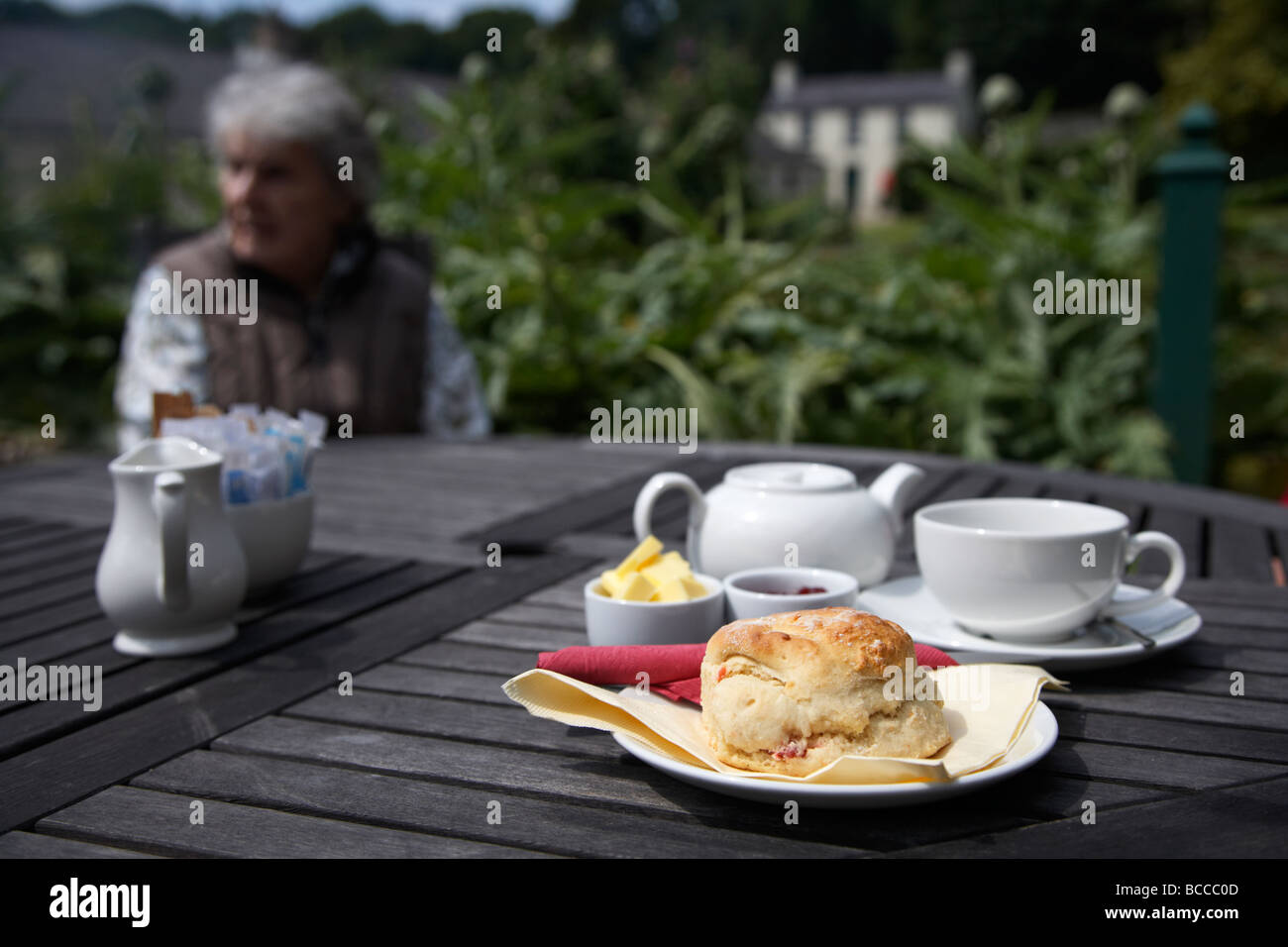 scone tea in the walled garden at Glenarm castle county antrim northern ireland uk Stock Photo