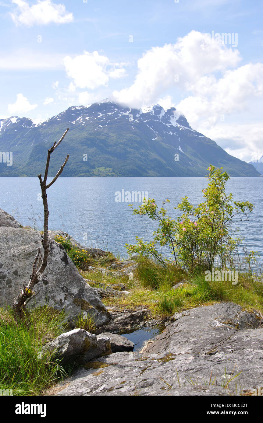 Nord Fjord, Nordfjordeid, Sogn og Fjordane, Norway Stock Photo