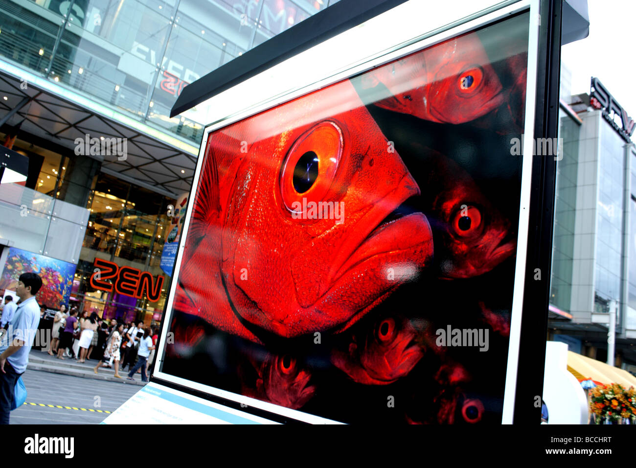 Photography Exhibition ' Planet OCEAN 'at Central World Shopping Center , bangkok , thailand Stock Photo