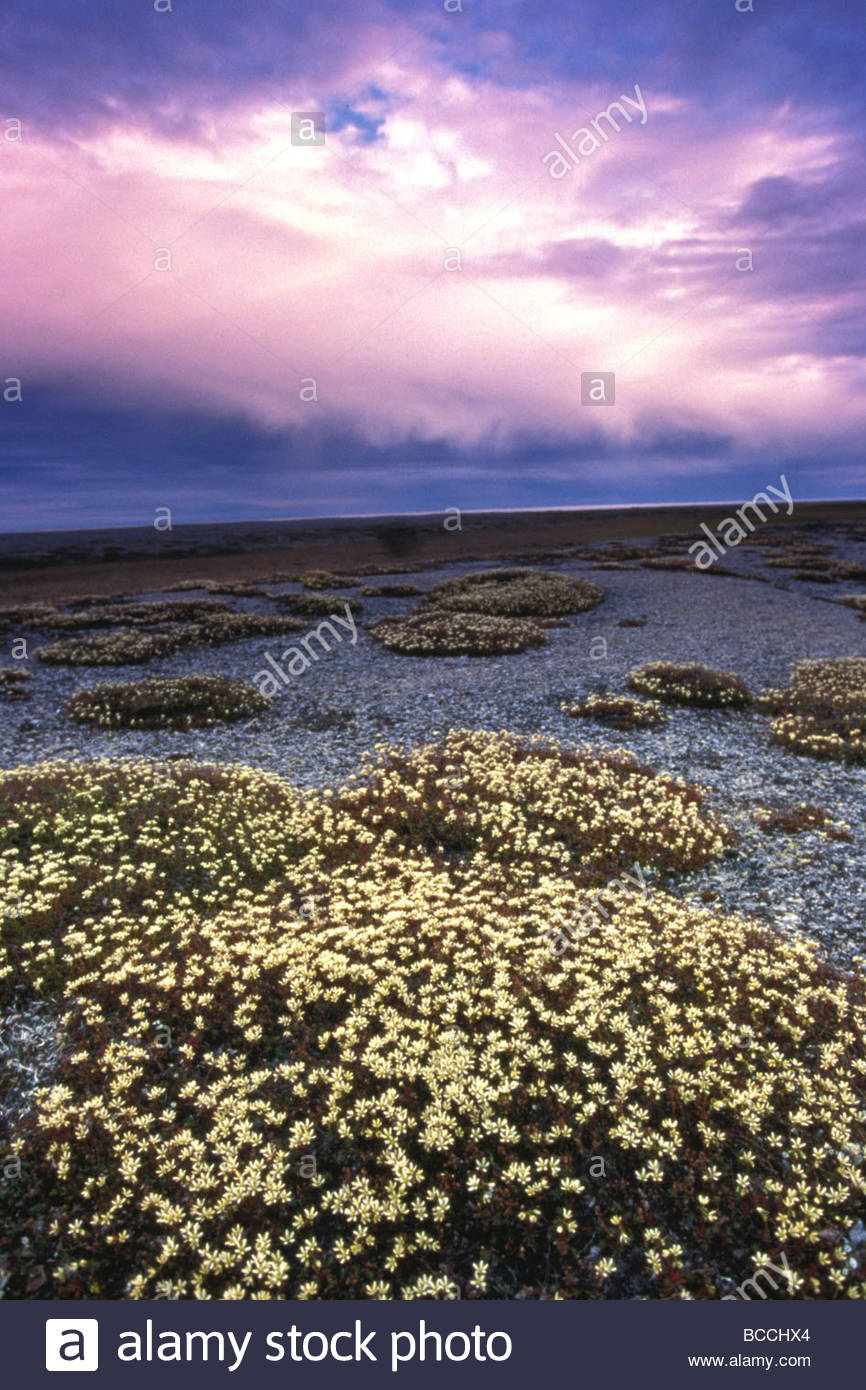 Igloolik Stock Photos & Igloolik Stock Images Alamy