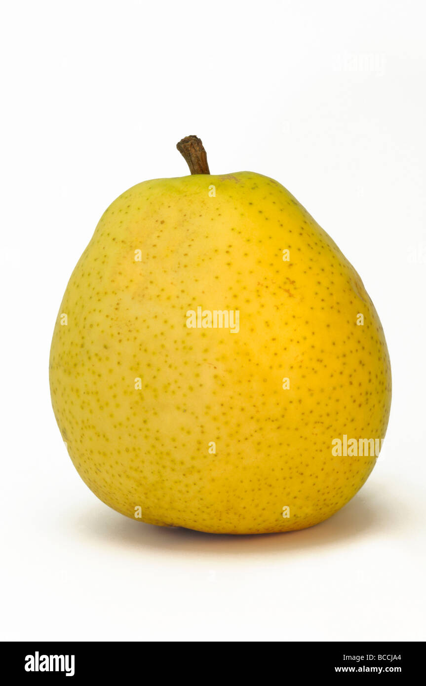 Common Pear, European Pear (Pyrus communis), variety: Alexander Lucas, ripe fruit, studio picture Stock Photo