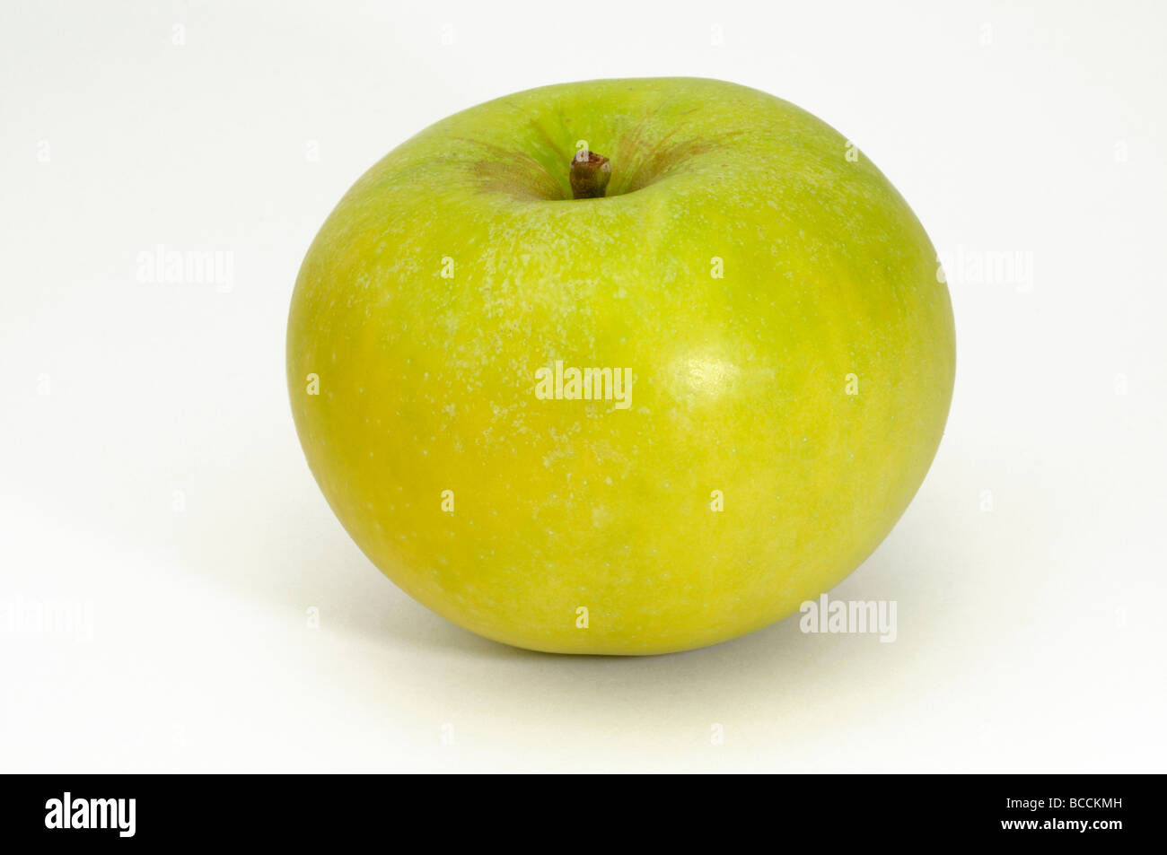 Domestic Apple (Malus domestica), variety: Gelber Edelapfel, ripe fruit, studio picture Stock Photo