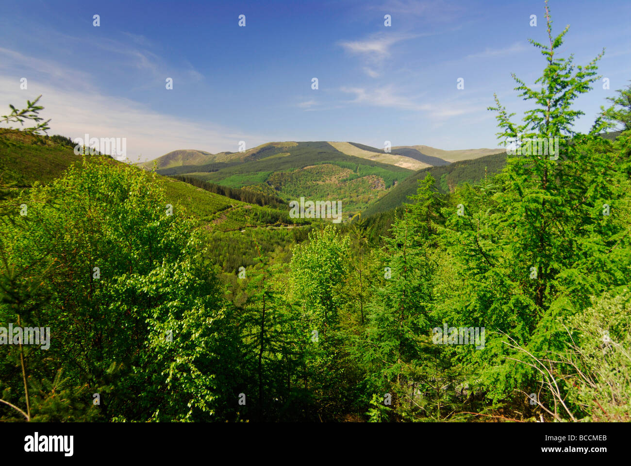 Dyfi Forest and Tarren Hills Powys Mid Wales UK Stock Photo