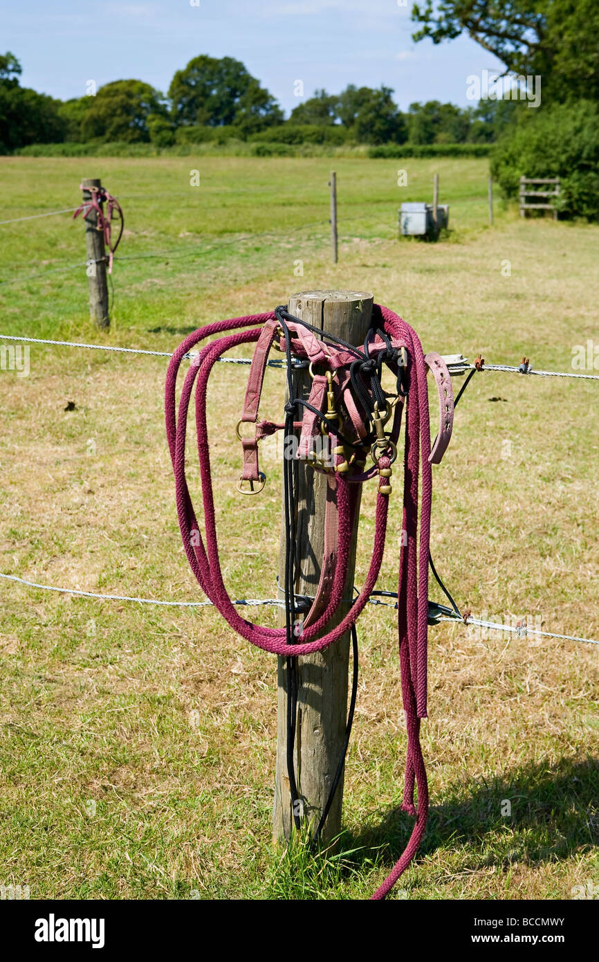 Horse fence rope hires stock photography and images Alamy