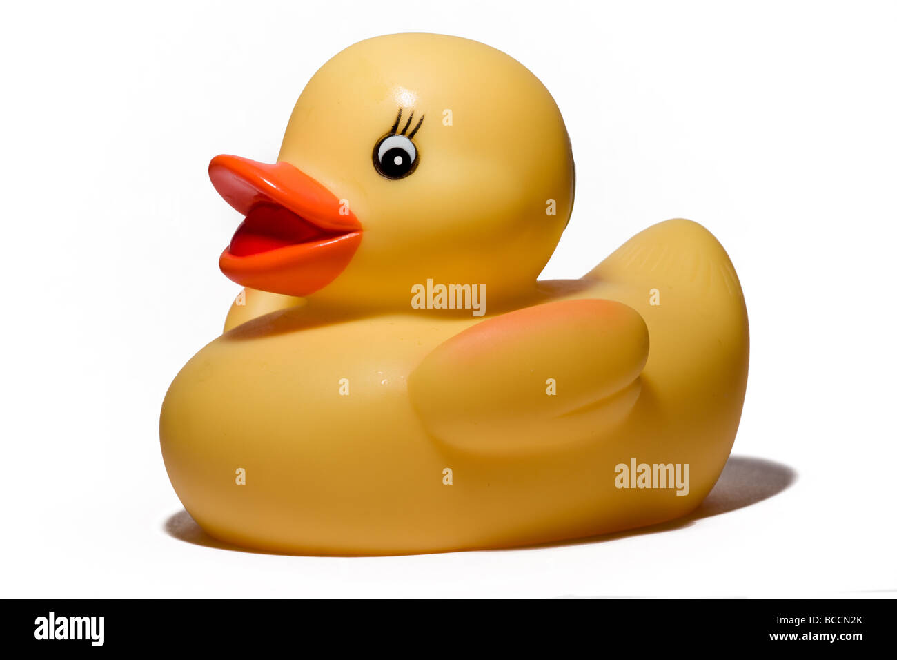 toy duck on white background Stock Photo - Alamy