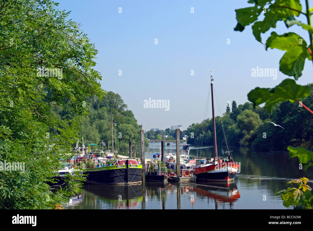 boats moored on the river thames at isleworth marina, middlesex