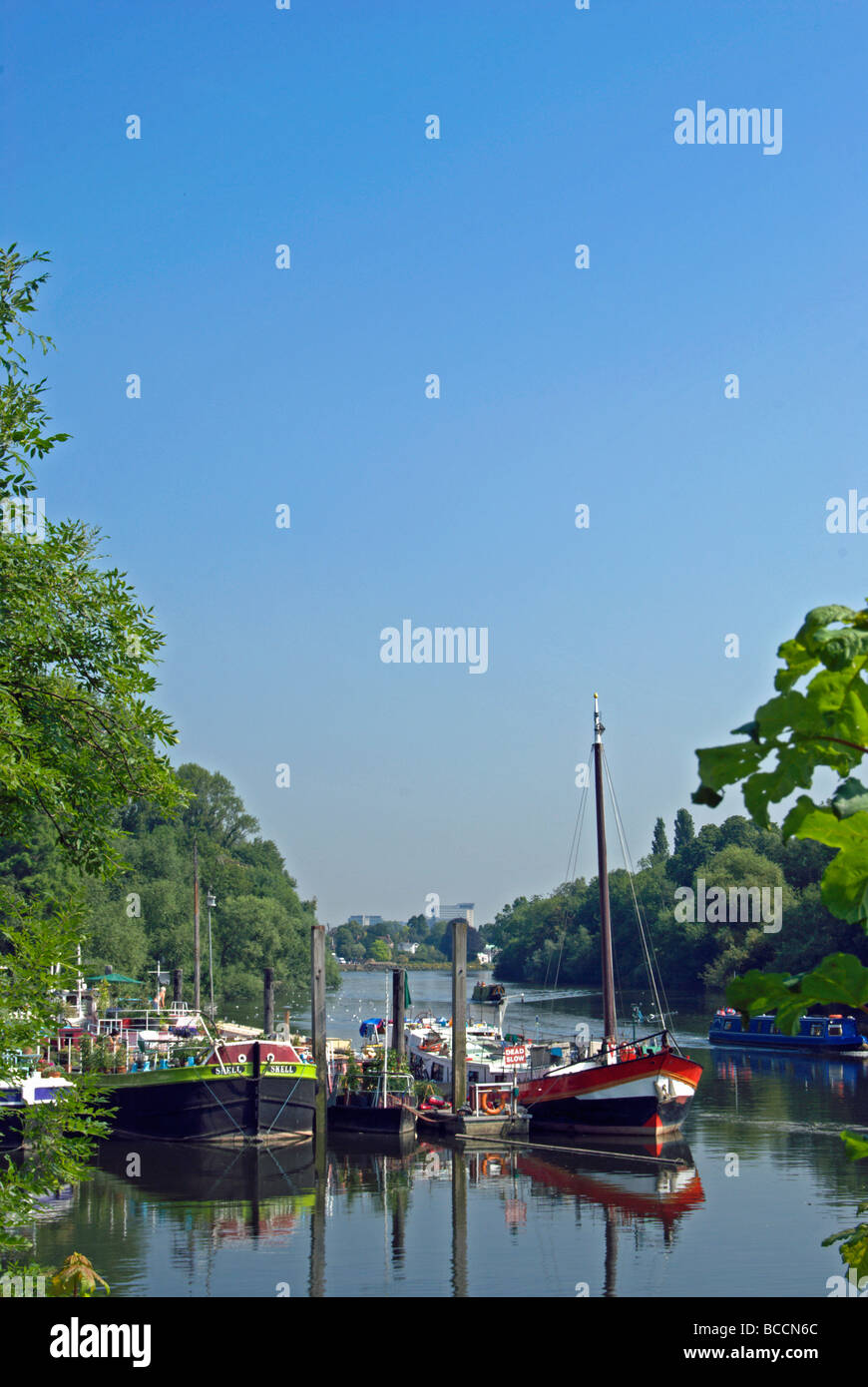 moored boats on the river thames at isleworth marina, middlesex