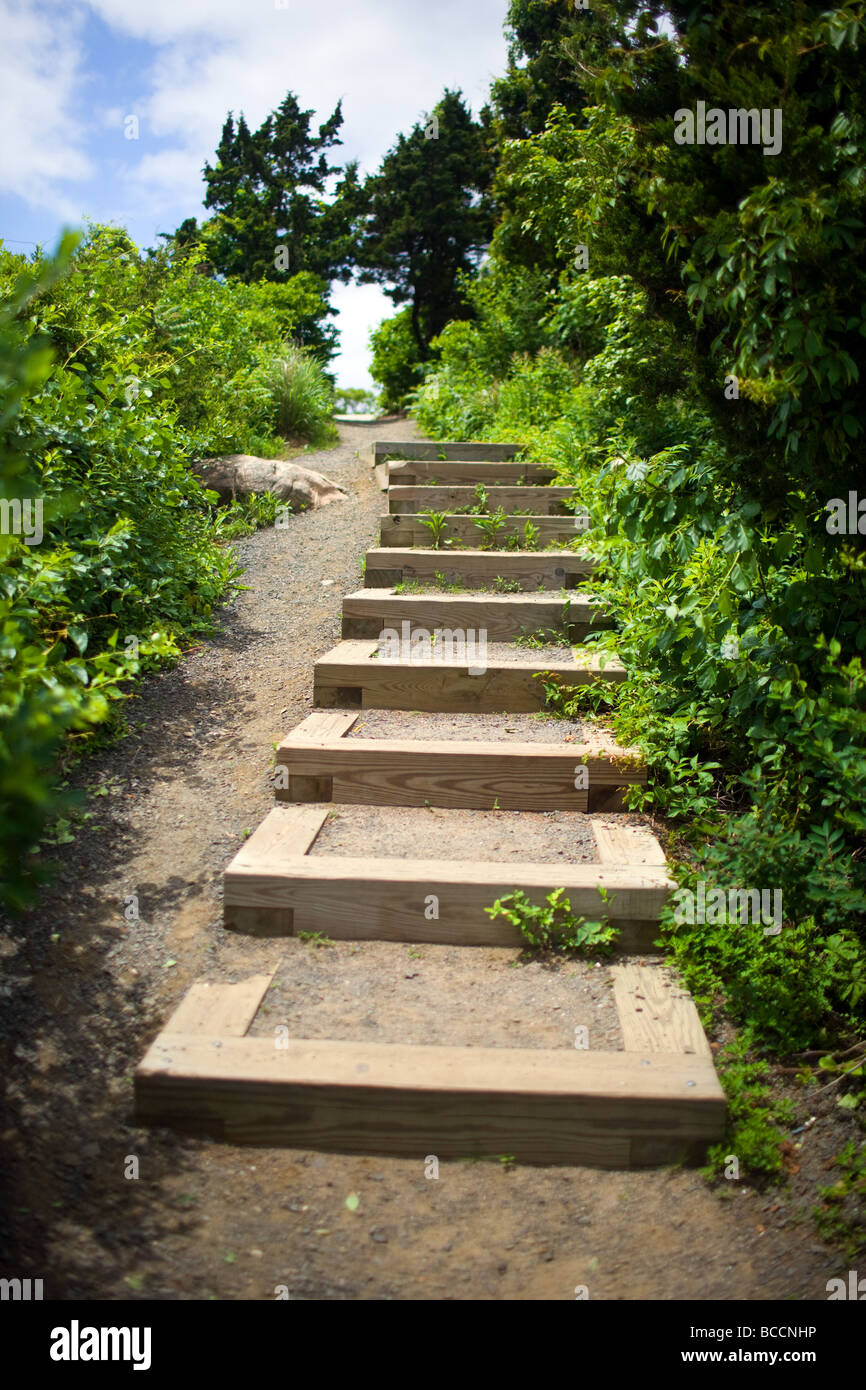 pilgrim path along steep steps to the … – License image – 70057520 ❘  lookphotos