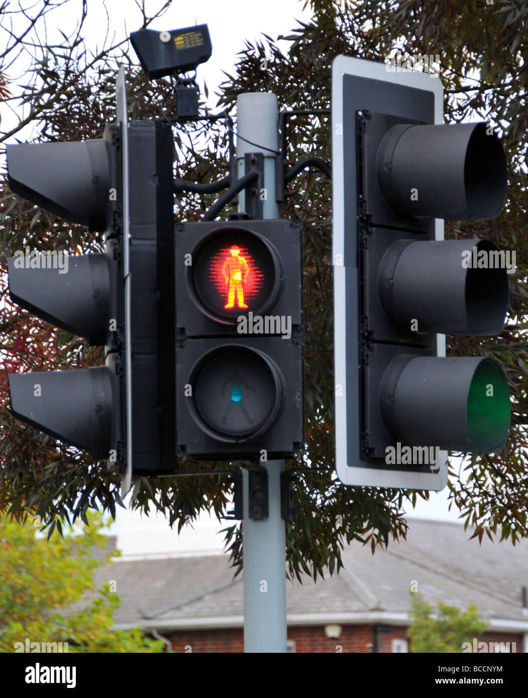 Pedestrian signal lights, UK Stock Photo