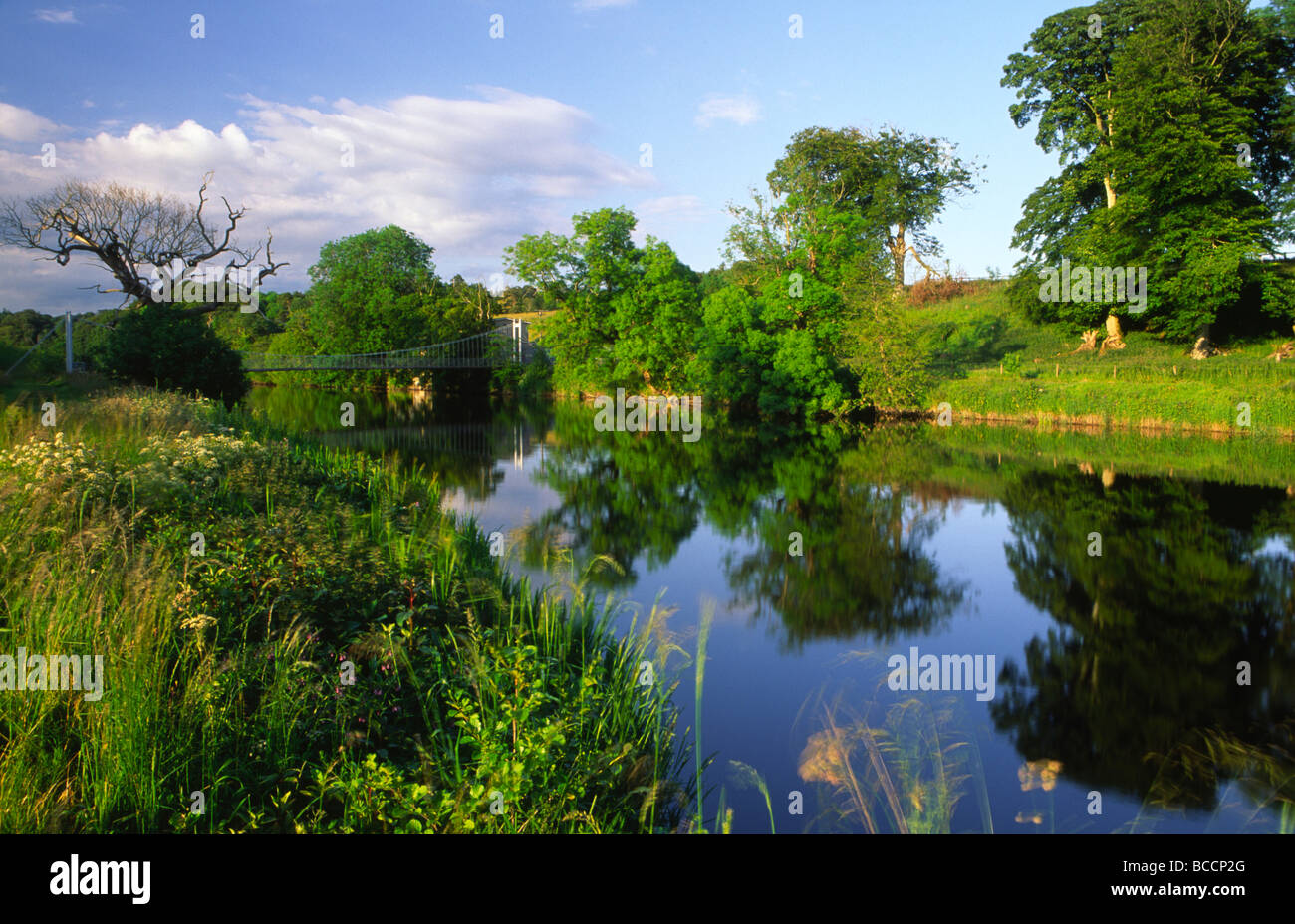 Summer evening on the riverbank of the River Annan on Annandale Way peaceful still calm reflections on water Scotland UK Stock Photo