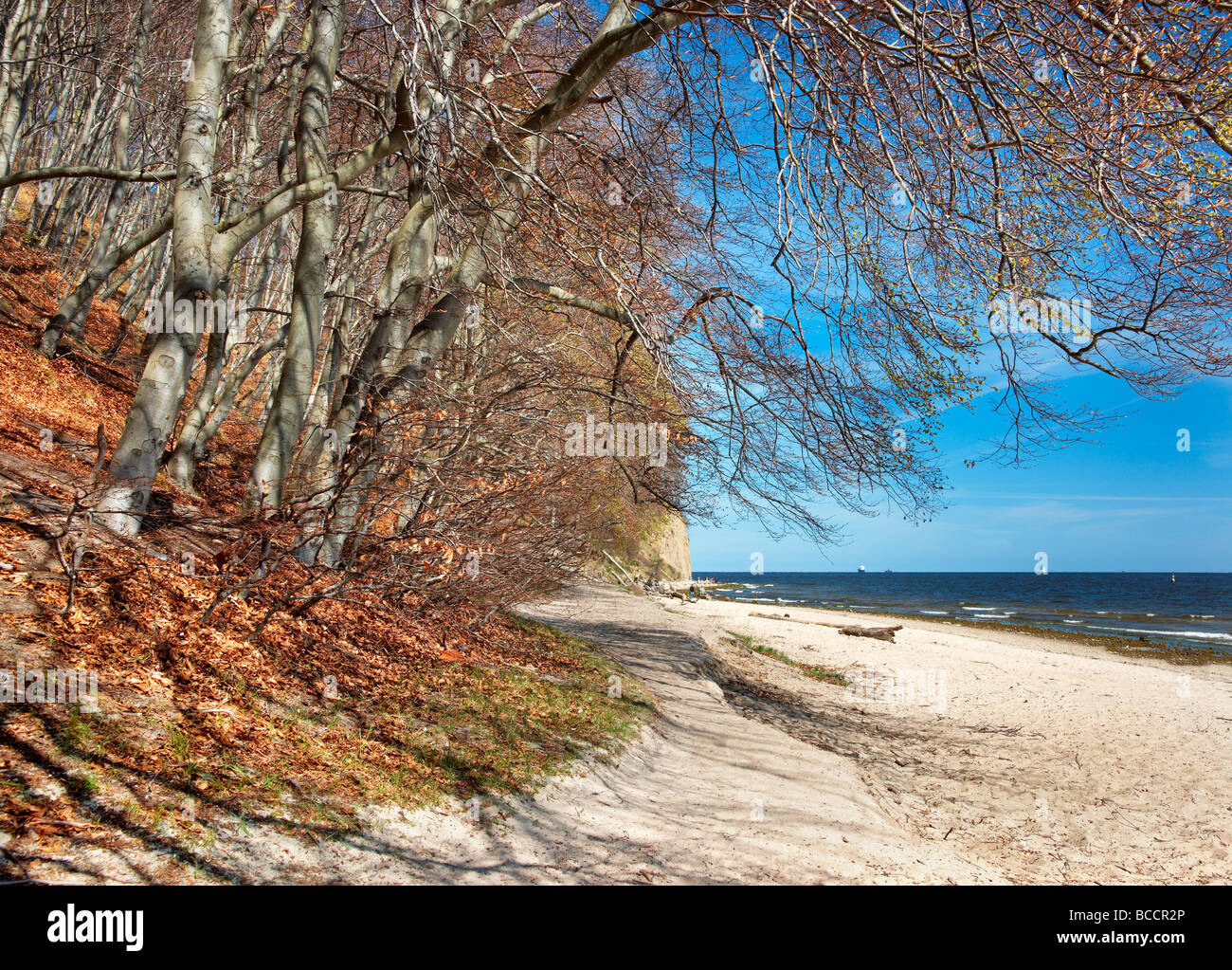 Baltic shore, Poland Stock Photo