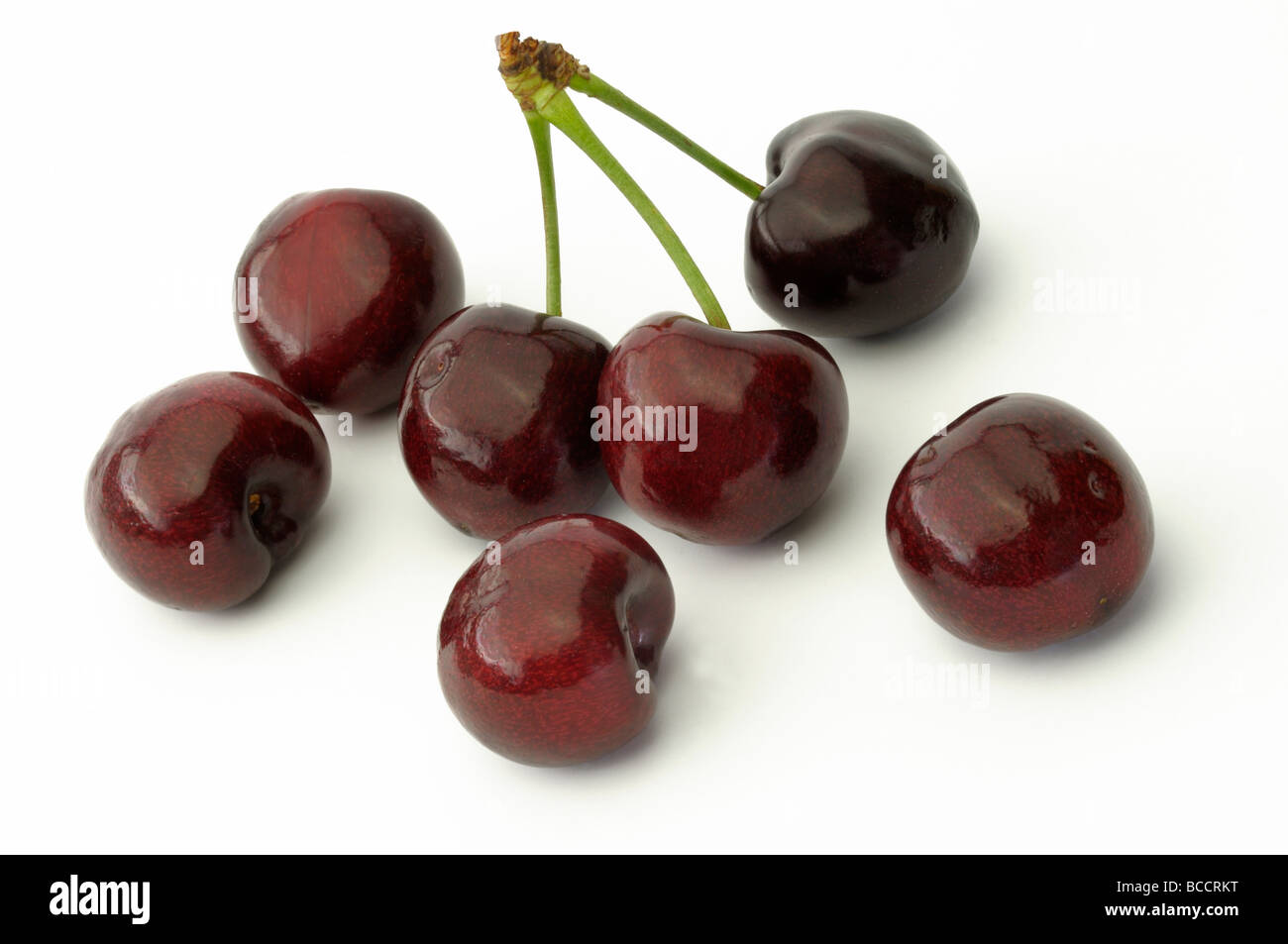 Sweet Cherry (Prunus avium), ripe cherries, studio picture Stock Photo