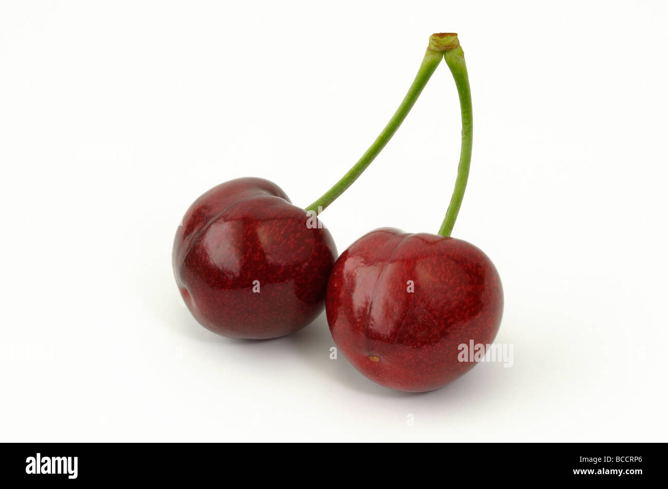 Sweet Cherry (Prunus avium), pair of ripe cherries, studio picture Stock Photo