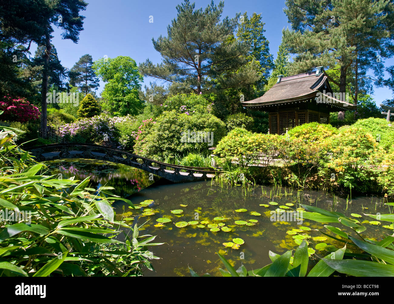 The Japanese Garden at Tatton Park, Near Knutsford, Cheshire, England, UK Stock Photo