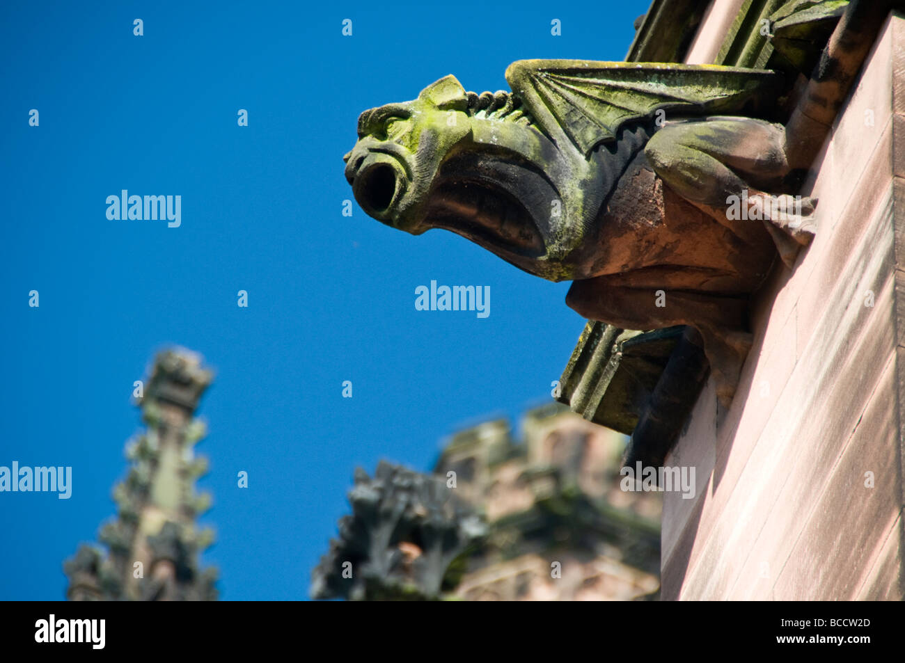 Stone Gargoyle on the Exterior of Chester Cathedral, Chester, Cheshire, England, UK Stock Photo