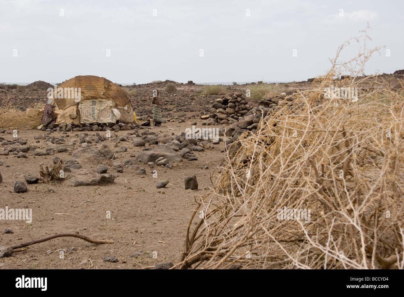 Dubti, Afar region, Ethiopia -- Afar child standing by his home, or ...