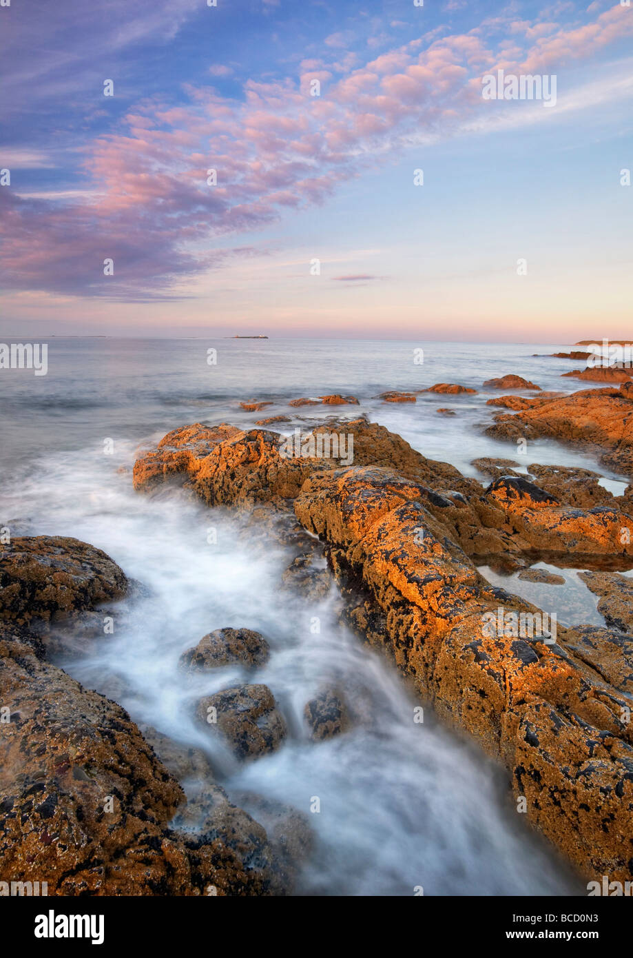 ROCKY SHORELINE with Farne Islands on horizon. Bamburgh. Northumberland. England Stock Photo