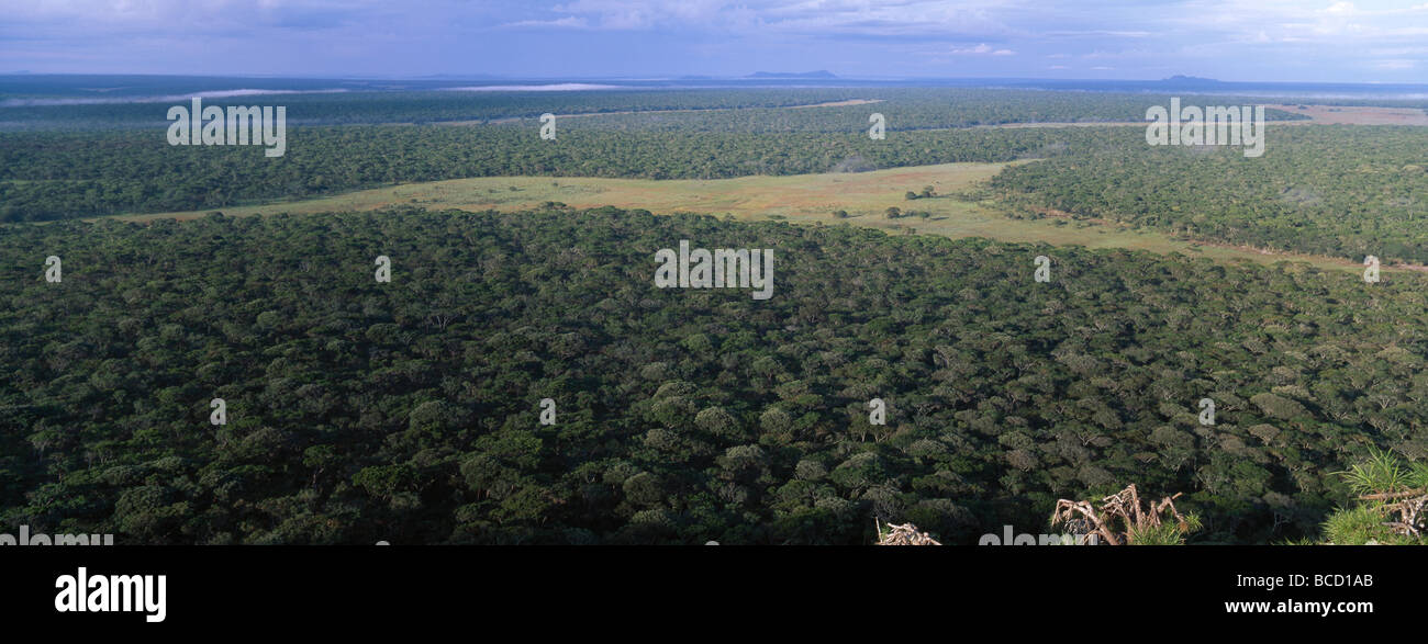 MIOMBO FOREST & Dambo (aquifer) from above Muchinga Escarpment. northeastern Zambia Stock Photo