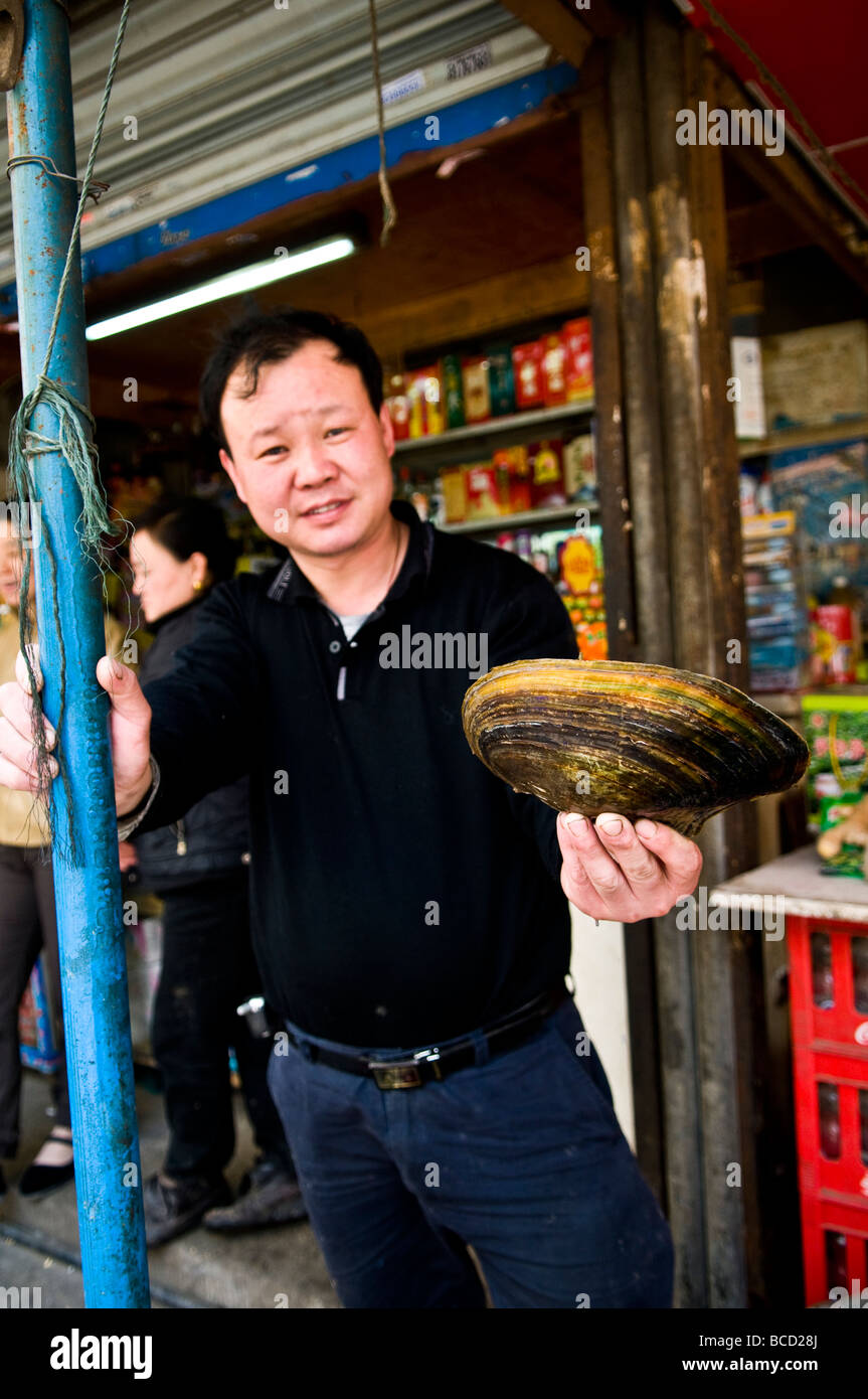 Big Clams sold in the fresh outdoor markets of East China Stock Photo