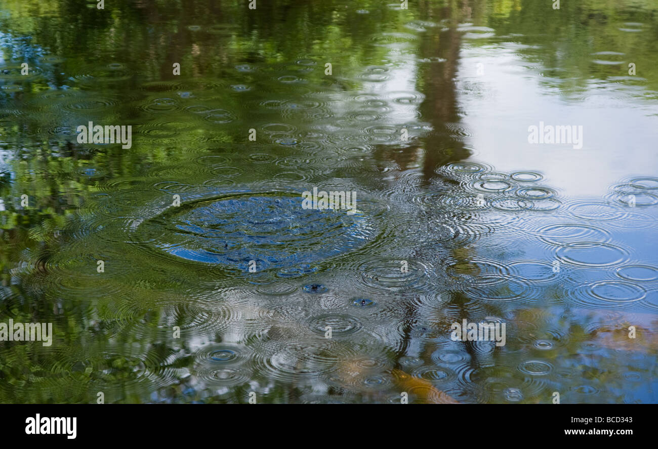 Ripples of water in the River Dart, with a tree reflected in the