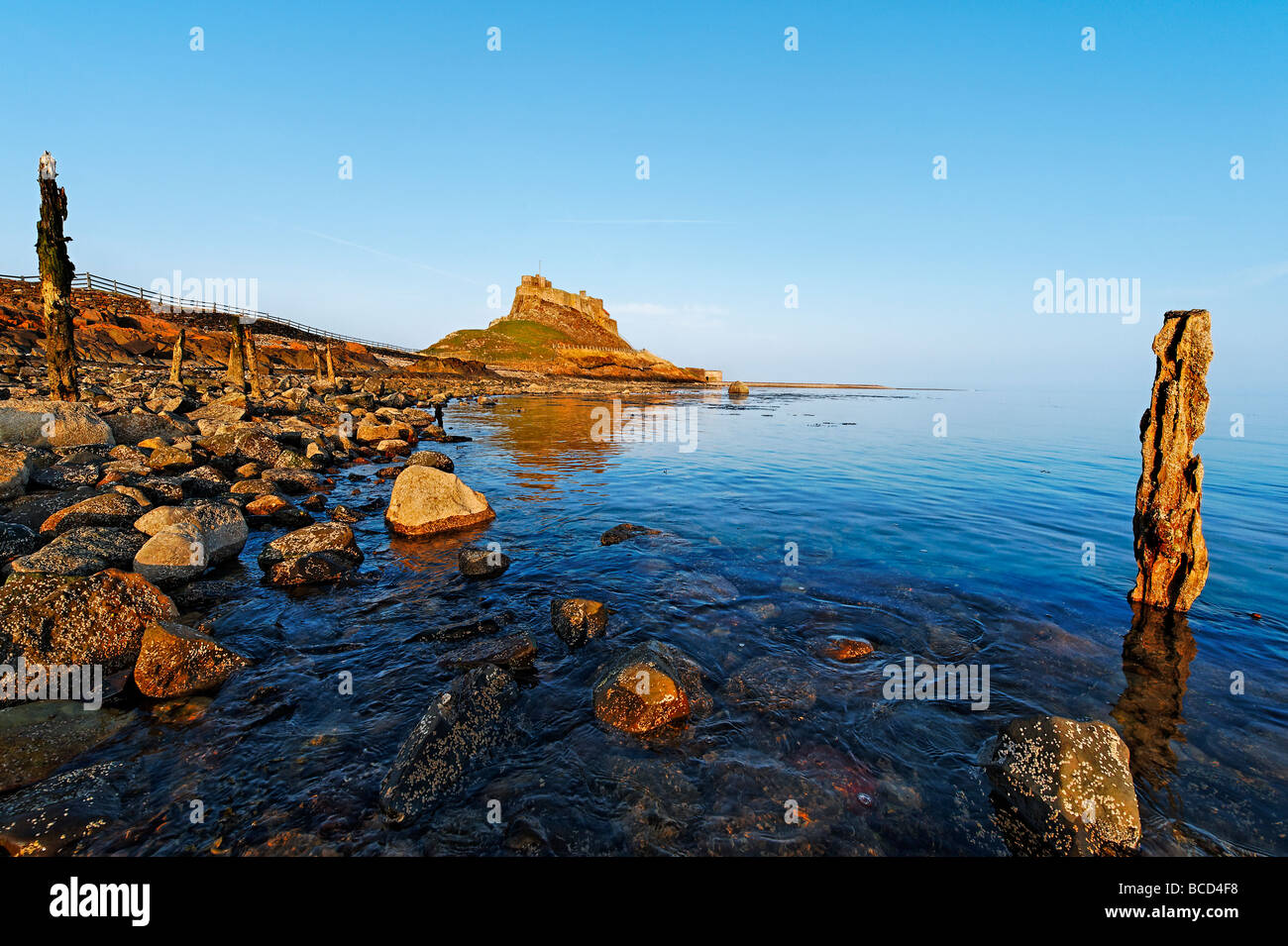 Lindisfarne Castle on Holy Island viewed from the shoreline. Stock Photo