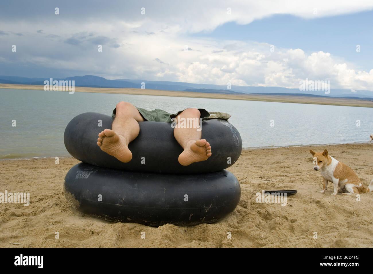 Man relaxing on inner tubes by a lake shore while his dog waits to play Stock Photo Alamy