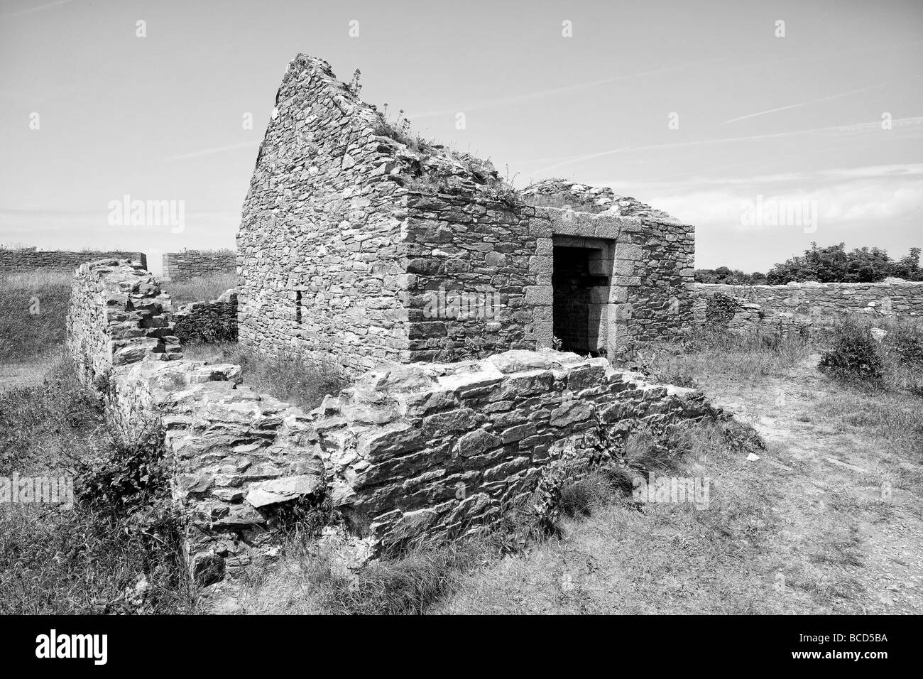 Images taken around Berry Head on the South Devon Coast, Great Britain. Stock Photo