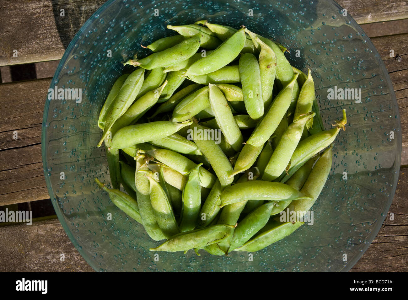 Fresh peas in pods Stock Photo